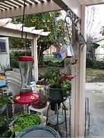Two hanging hummingbird-style bird feeders with red bases and yellow flower designs under a pergola area with surrounding garden plants.