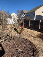 Full view of metal bottle tree with multiple assorted glass beverage bottles outdoors in a landscaped bed in sunshine.
