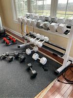 Overview of rack loaded with white and grey dumbbells, red adjustable dumbbells and black coated dumbbells on mat