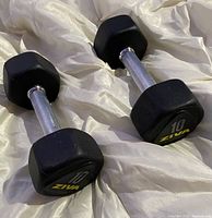 Pair of Ziva 10lb black hex dumbbells displayed on a light colored fabric showing clean condition and clear branding and weight.
