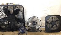 Four fans of various sizes placed on the floor including a large box fan, small blue fan, black Massey fan, and a black O2 fan.