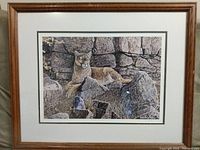 Full view of wood framed print of cougar lying on rocks, matted and under glass.