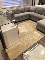 Beige rectangular area rug positioned under sectional sofa and coffee table, showing overall condition and color