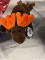 Top view of the Chocolate Moose Beanie Baby plush showing brown soft fabric and large orange antlers, with tag in protective sleeve attached.