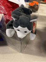 Nanook Beanie Baby in black and white laying on clear plastic display stand, visible Ty tag attached to ear.