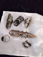 Top down view of all six rings on white cloth showing finger armor claw, filigree, cameo, coral, bird, and black stone rings