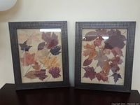 Photo of two framed fall leaf artworks side by side on a light wall