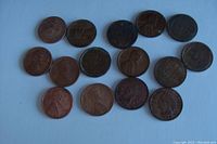 Top-down view of sixteen circulated USA pennies showing wear and varied patina, some are wheat pennies and one Indian Head penny.
