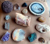 Wide view showing all mineral and fossil specimens arranged on a surface, including geode slice, quartz crystal, amethyst, volcanic rocks, and fossilized coral.
