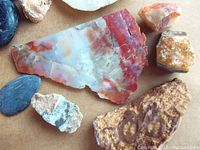 Petrified wood slab and several small mineral stones including a dark polished stone and quartz-like rock