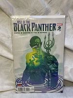 Front cover of Rise of the Black Panther Issue #2 comic book showing artwork and title.