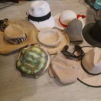 Nine hats of various styles and colors with a turtle-shaped case or bag near them.