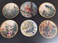 Overview of six circular collector plates with various birds and natural backgrounds, gold and decorative borders visible