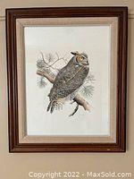 Framed artwork showing owl perched on branch with pine needles