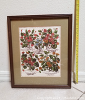 Photo of framed botanical flower painting standing upright against a wall, showing the full piece and partial measuring tape on the right indicating size.