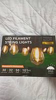 Box showing LED filament string lights, waterproof and shatterproof, 30 lamp holders, 32 LED bulbs, 101 ft length.