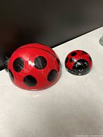 Photo of a red ladybug sponge holder and a smaller ladybug kitchen timer placed side by side.
