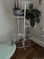 Photo of the white six-tiered metal plant stand with potted plants on some shelves, placed on hardwood floor near a glass table.
