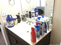 Cleaning products arranged on bathroom counter, showing brand and size