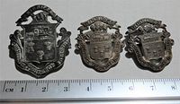 Set of three distinct sizes of Winnipeg coat of arms brooches lined up with ruler for scale