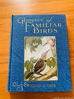 Front cover of 'Glimpses of Familiar Birds' showing textured blue cover with gold lettering and a colored bird illustration.