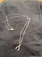 Necklace laid flat on black cloth showing full chain and wishbone pendant