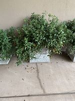 Rectangular planter with intricate designs and bushy green artificial plant displayed on concrete floor.