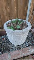 Side and angled views of a large white cement garden pot with rope design, containing soil and dried plants.