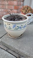 Ceramic garden pot seen from the side with dried soil and dead plant remains inside. Floral pattern visible around the pot.