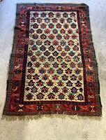 Full view of rug showing overall geometric pattern, border and fringe