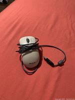 Beige wired Microsoft USB mouse with USB connector and scroll wheel on a coral surface.