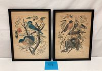 Both framed vintage bird lithographs displayed side by side on white background with blue lot number card