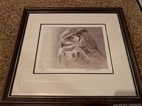 Overall view of framed print showing owl profile, matting and frame
