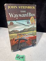 Front cover of the book showing the title, author name, and illustrated dust jacket artwork.