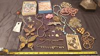 Full view of the lot showing all items including necklaces, brooches, and pins arranged on a cloth surface.