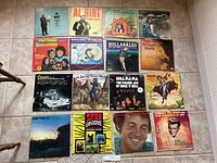 All 16 LP albums laid out on floor, showing album cover artwork and condition