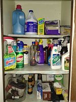 Photo showing cabinet shelf with various household cleaning products in bottles, spray containers, cans, and boxes.
