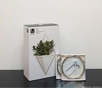 Photo showing boxed Umbra Trigg wall vessel next to two unopened Ikea Sammanhang gold round glass shelves.