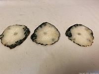 Three flat stone discs with white centers and dark natural edges, displayed side by side on a light fabric surface.