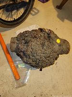 Overall view of large burl wood piece placed on floor, showing its irregular and knobby surface texture.