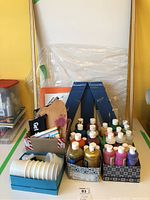 Full view of the collection showing acrylic paint bottles, plastic mixing containers, paint pads, and canvases.