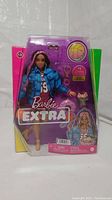 Front view of Barbie Extra basketball doll in original packaging featuring the doll dressed in a denim jacket and red dress, with accessories including basketball and small dog figure.