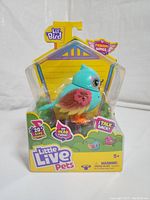 Front view of boxed Little Live Pets Lil Bird Flutter Tail in original packaging showing colorful bird toy with butterfly wing decorations and product branding.