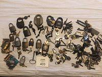 Overhead view of entire lot showing multiple padlocks and key sets spread on white surface