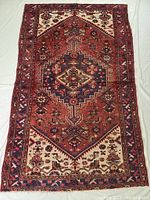 Full view of Persian rug showing central medallion and border design.