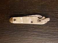 Top view of tiny folding knife with closed blade showing mother-of-pearl shell handle and small metal tip.