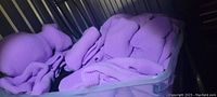 Plastic bin filled with multiple purple ski masks, some with horns/ears and others without, showing knit texture and bright purple color.