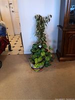 Two potted plants placed on carpet near wall and furniture. One plant is live with trailing green ivy-like leaves, other is artificial with variegated green and white leaves and upright stems.
