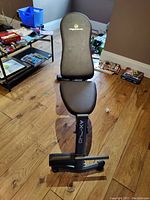 Front view of Apex Fitness bench showing padded backrest with logo, seat, and leg rollers.
