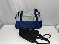 Photo of Perry Ellis duffle bag and black Le Donne mini backpack on a white background